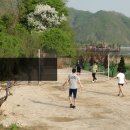 개울가 민박 이미지