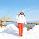 지혜목장 이미지