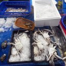농수산물도매시장_동 | 광주 서부농수산물 도매시장 만덕수산 킹크랩 내돈내산 구매후기