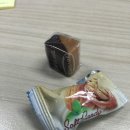 돈이가 이미지
