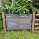 소라의성 이미지