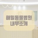 해밀동물병원 이미지