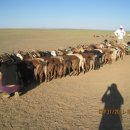 빨래하고 수선하고 이미지