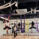 야탑로81번길 이미지