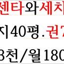 성내세차장 이미지