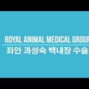 서울동물메디컬센터 이미지