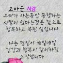 승진 태양광발전소 이미지