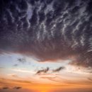 태평양환경 이미지