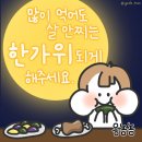 고다 이미지