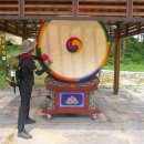 우리들의 꿈들 이미지