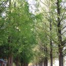 수양쉼터(섬진강~영산강 연결 자전거길) | 영산강-섬진강 자전거길 30km