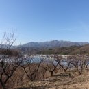 극락산( 極樂山499m). 흑운산(447m). 구화산(328m). 당산(309m). 달봉산(306m)/경북김천 이미지