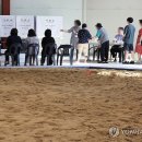 종합운동장 씨름장 연합뉴스
