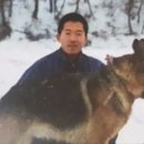 아지나라 이미지