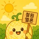 농업회사법인주식회사 철원종돈 | 6시내고향 홍보장사만만세 철원 멜론 - 농업회사법인 어쩌다 농부의 달콤한 스토리