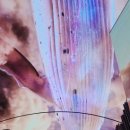 핑크고래 이미지