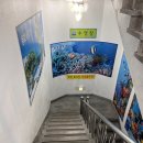 용호레포츠 네이버블로그