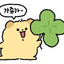 다마타코야끼 이미지