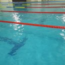 월명실내수영장 이미지