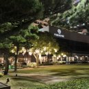 팔레드시즈부동산중개 이미지