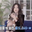 퍼피 그룹 만들어도 될 것 같은 슈화네 귀요미들🐶 이미지