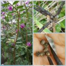 창의의 숲 이미지