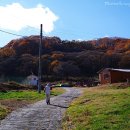 소사목장 이미지