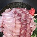 크랩회피쉬