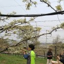 상산농장 이미지