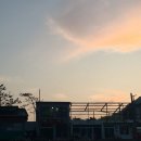 카페이루소(IRUSO) 네이버블로그