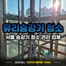 임마누엘청소관리업체 | 서울 육교 유리 승강기 먼지 청소 관리 업체 후기