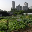 김영수농장 이미지