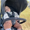 붕카센타 이미지