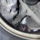 애니카랜드 서구점 이미지