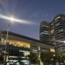 바다나라 | [가락시장역 맛집] 가락몰 다미정+바다나라 모임 후기