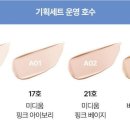 VDL 커버스테인 하이커버 쿠션 V02호(케이스+리필) 이미지