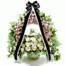 흰돌1호 이미지