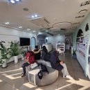 닥터캣 고양이병원 이미지