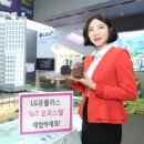 773 이미지