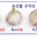 의성농협유통사업소 이미지