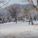 장흥수림원 이미지