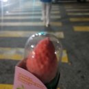 지에스25 일원스타점 이미지