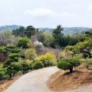 천국나무농원 이미지