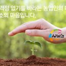 요기사이소 이미지