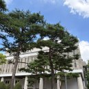 가장문화길 | 이은결 30주년 공연 ONE OF ONE, 재미와 감동이 꽉 찼던 세종문화회관 마술쇼 후기
