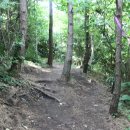 제주 올레길 12코스 이미지