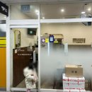 부국식당 이미지