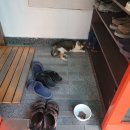 동대신역8번출구 이미지