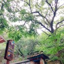 함박산 약수터 | [경남 창녕] 영산석빙고 / 창녕영산석빙고 / 함박산약수터.