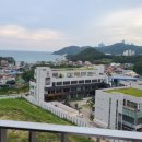 오시리아부동산공인중개사사무소 이미지